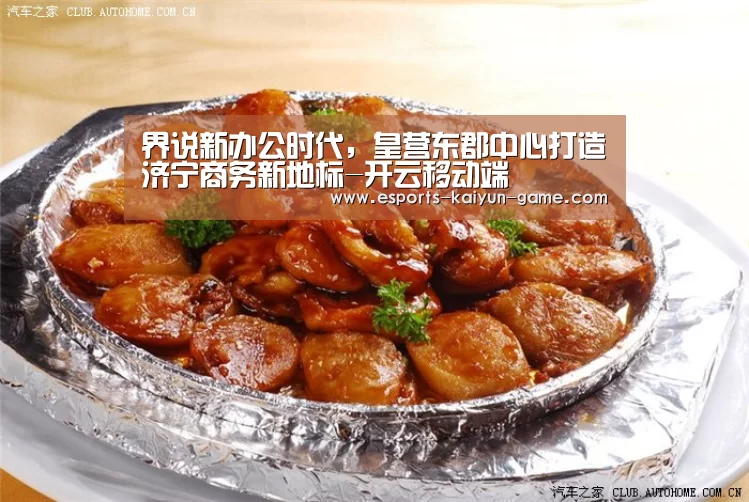 界说新办公时代，皇营东郡中心打造济宁商务新地标-开云移动端